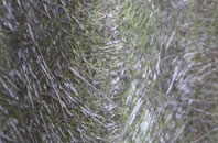 Chacombe fibreglass roof work